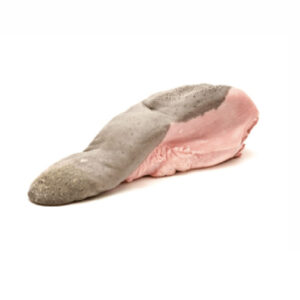 Lengua