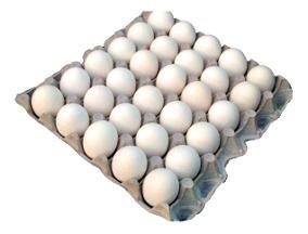 Huevos x maple de 30