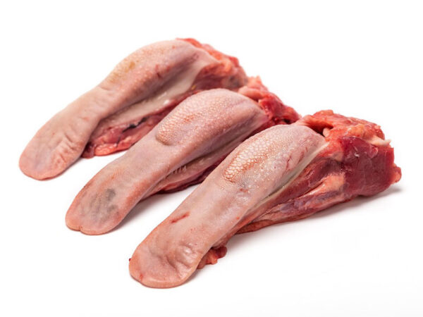 Lengua de Cordero
